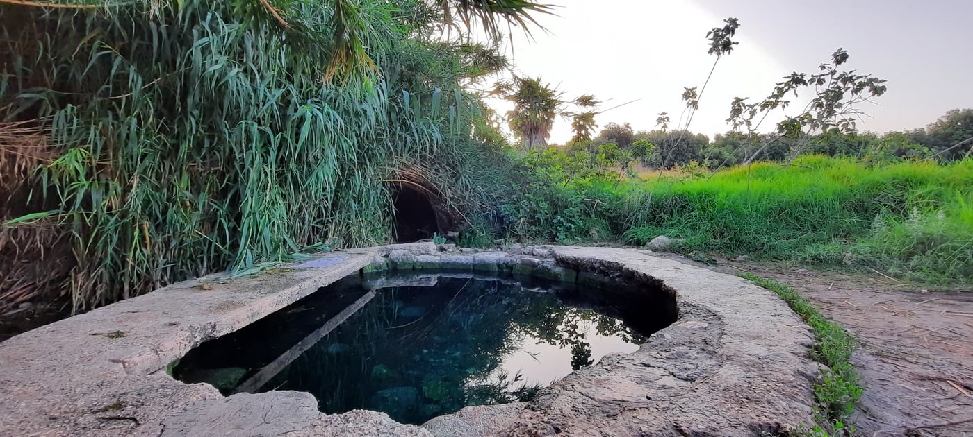 המעיין הרטוב שמלמד על "תוכנית טראמפ"