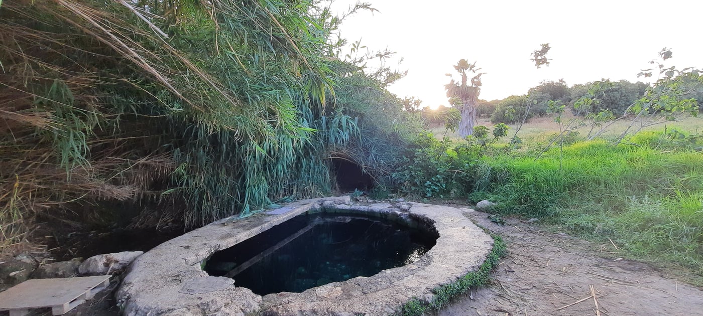 המעיין הרטוב שמלמד על "תוכנית טראמפ"