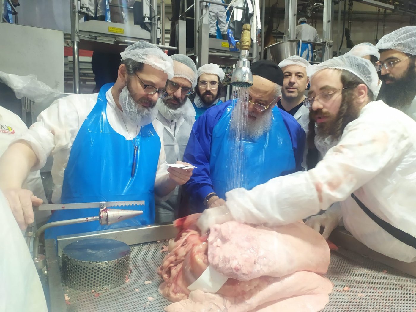 חותמת 'מהדרין' נוספת למשחטות מותג הבשר 'וול דאן'