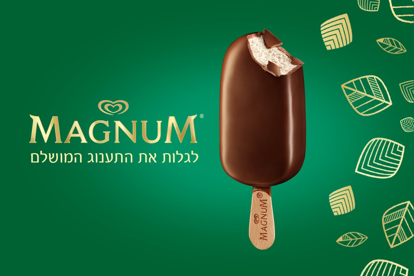 לאחר תהליך פיתוח ארוך ומאומץ הוא סוף סוף הושק