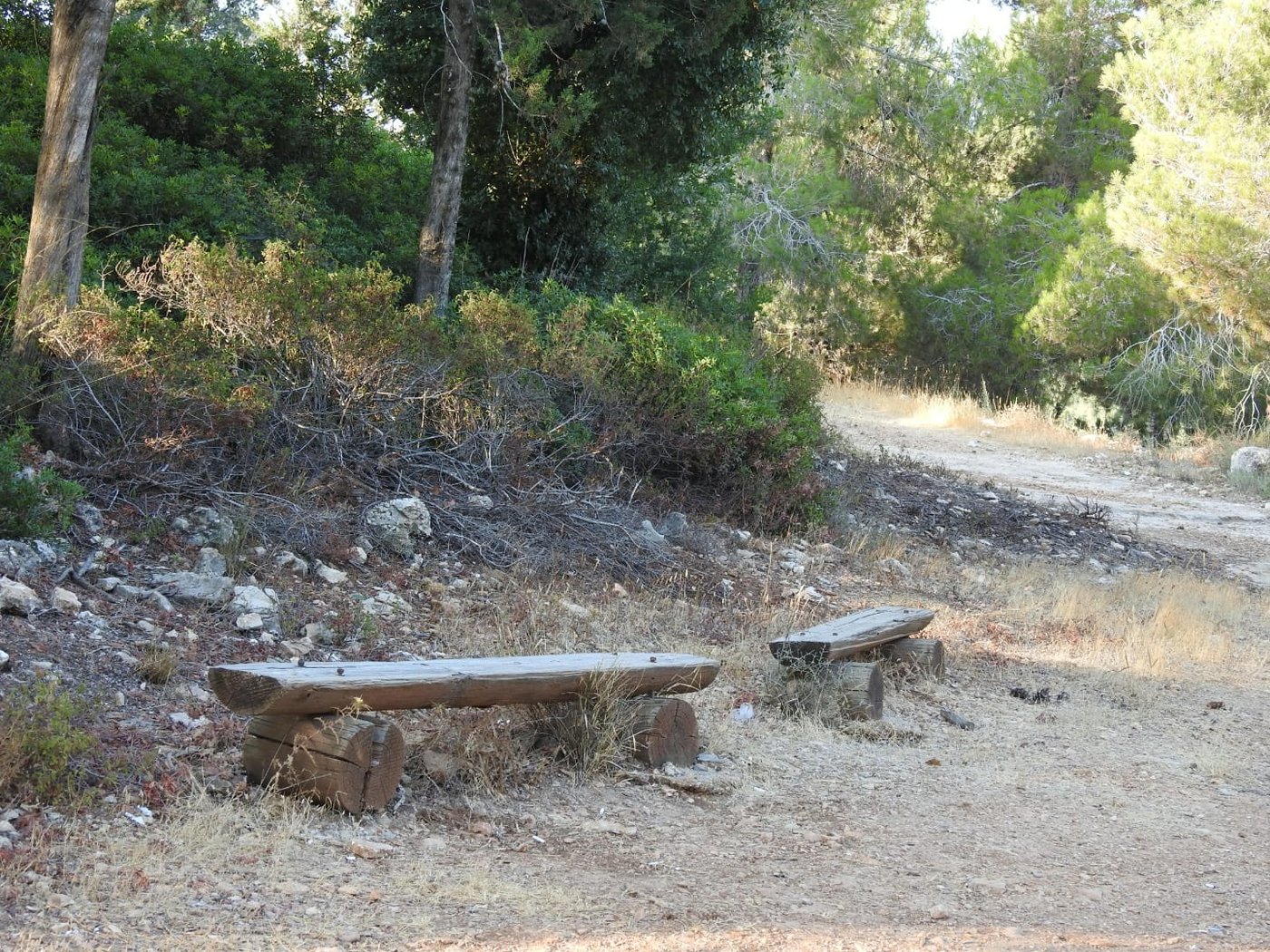כשישראל שפירא ביקר באנדרטה על-שם ישראל שפירא