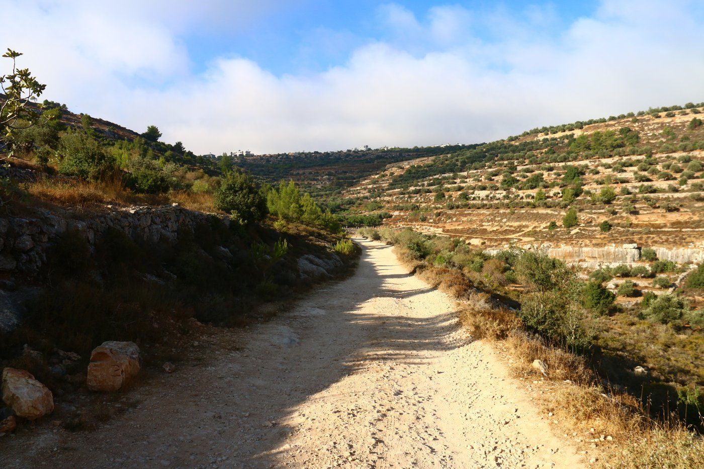 יום בחווה הירושלמית • תיעוד מרהיב ומרתק