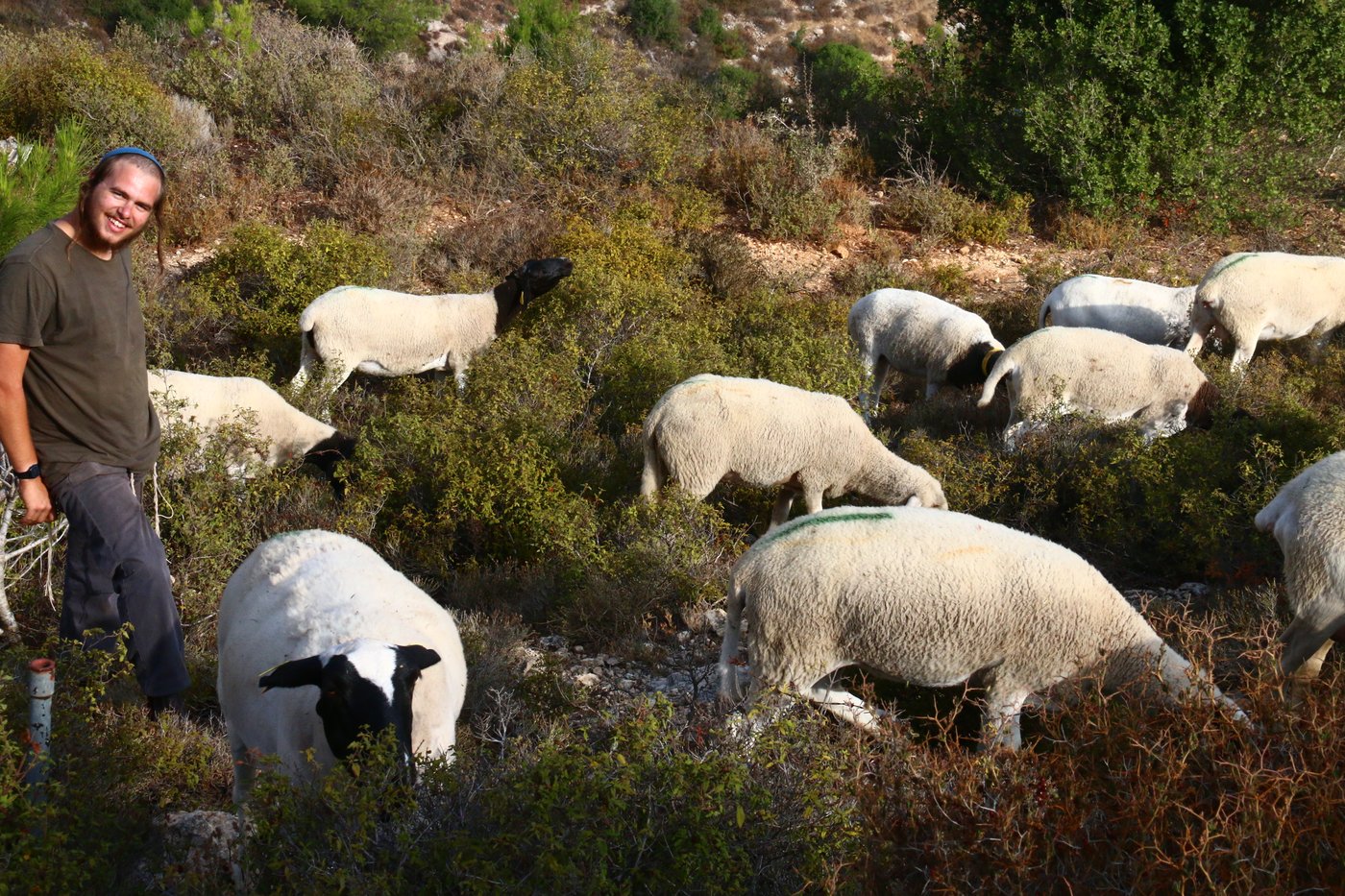 יום בחווה הירושלמית • תיעוד מרהיב ומרתק