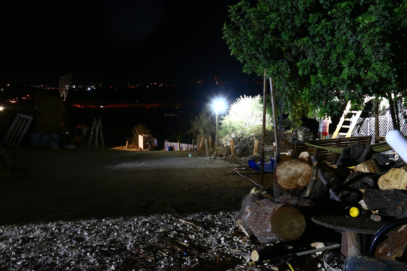 יום בחווה הירושלמית • תיעוד מרהיב ומרתק