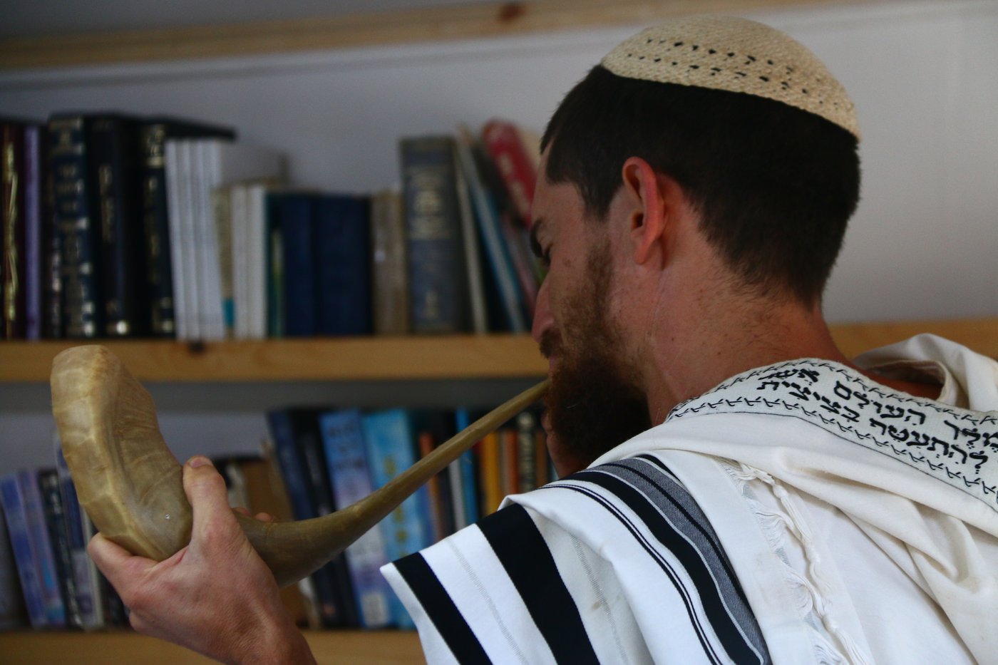 יום בחווה הירושלמית • תיעוד מרהיב ומרתק