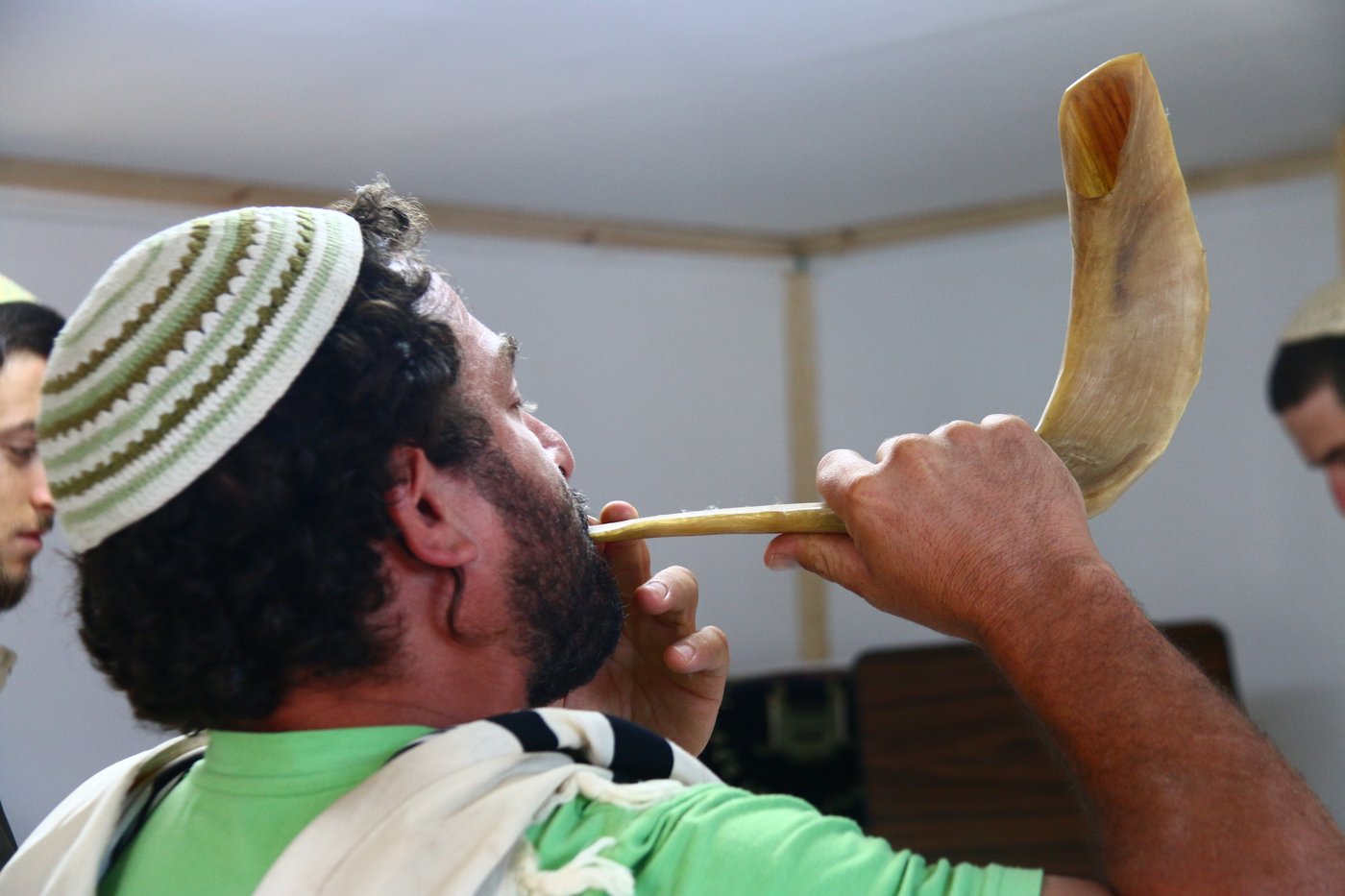 יום בחווה הירושלמית • תיעוד מרהיב ומרתק