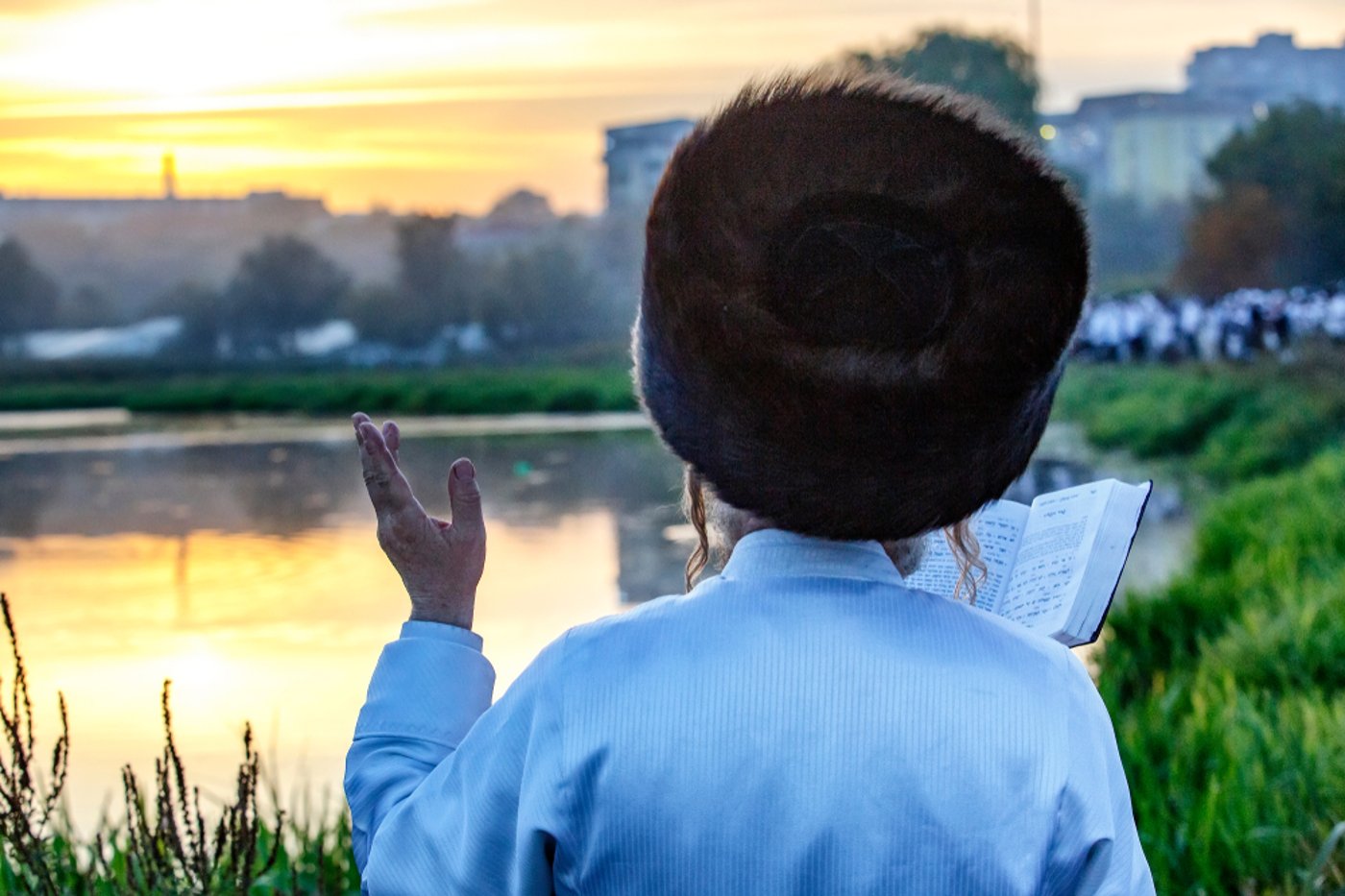 הבחור שאל: מה יעיר את האהבה בליבי?