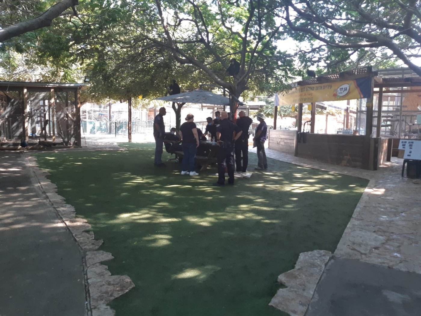 ישראל פרוש נאנק מכאבים, בעימות עם פקחים • צפו
