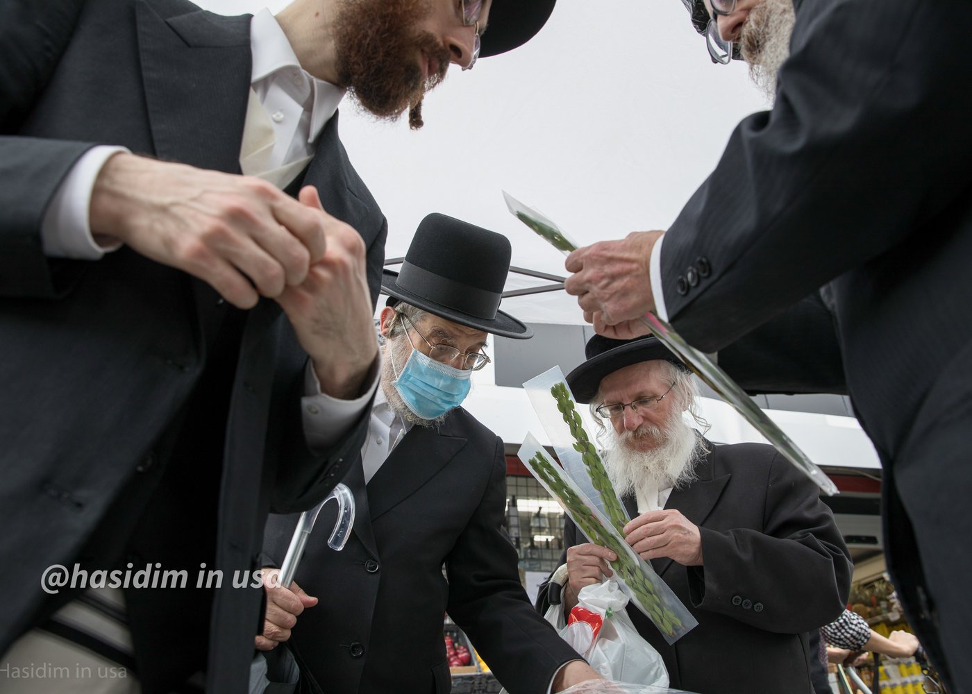 מרהיב: כך נערכים בויליאמסבורג לחג סוכות