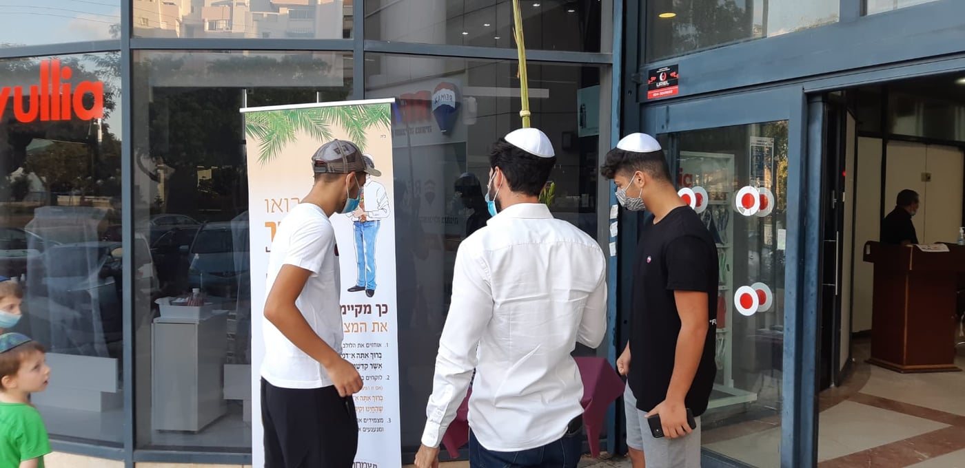 מבלפור ועד מחלקות הקורונה: רבבות נוטלים לולב עם שלוחי חב"ד