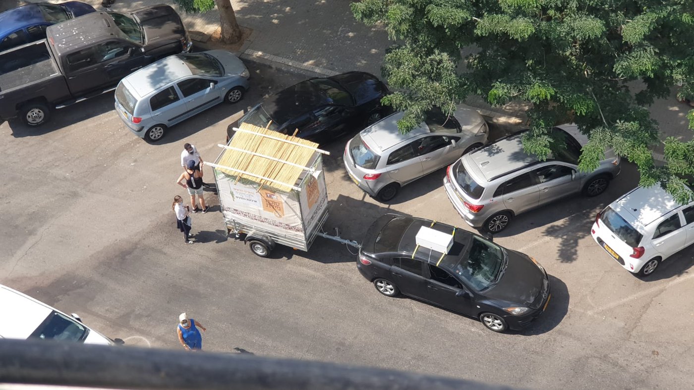 מבלפור ועד מחלקות הקורונה: רבבות נוטלים לולב עם שלוחי חב"ד