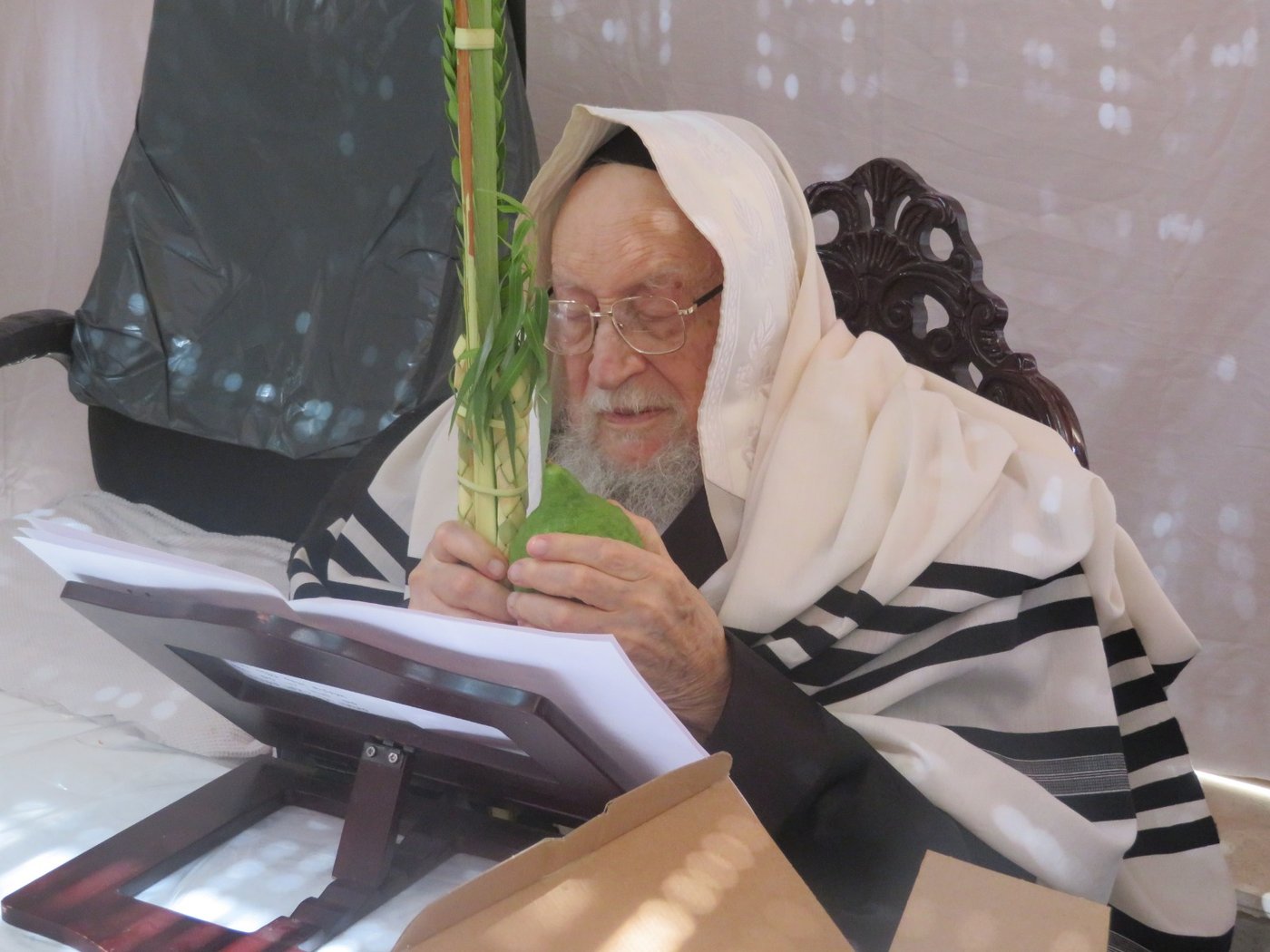 סוכות אצל זקן ראשי הישיבות הגר"י שיינר. צפו