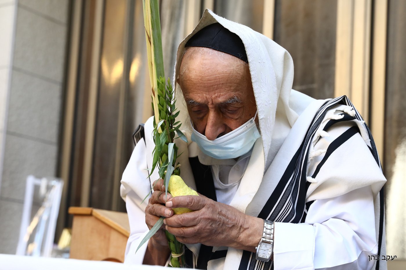 הגר"ש בעדני בתפילת שחרית והושענות
