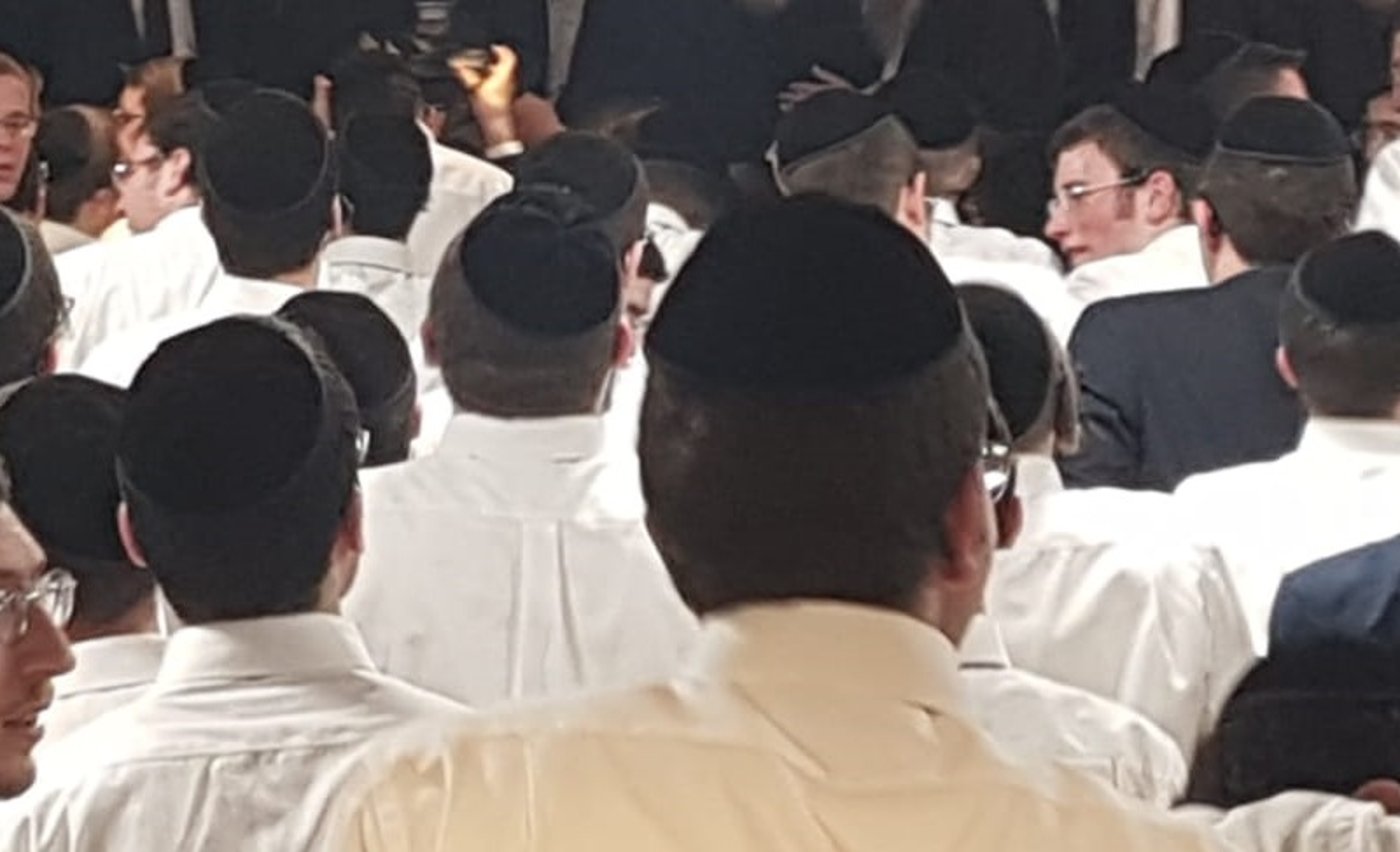 בחורי 'תפרח'. אילוסטרציה