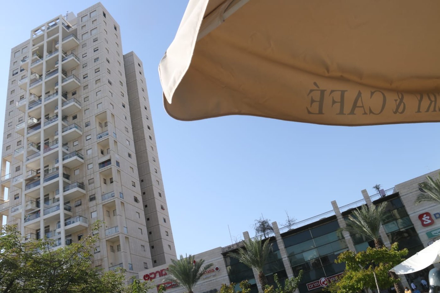 תיעוד חורפי: פארק מרום נווה ברמת גן • צפו