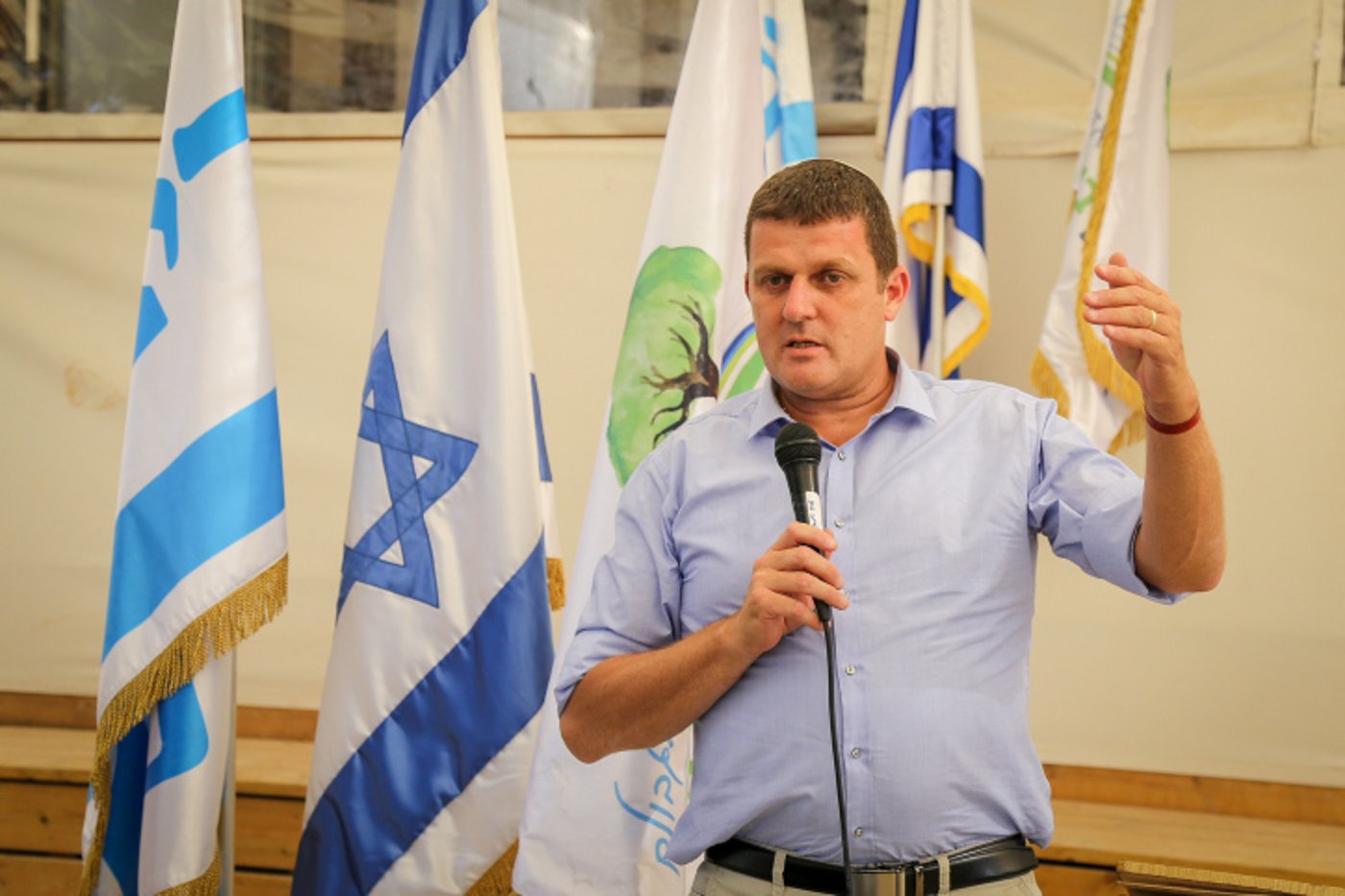 עמית הלוי