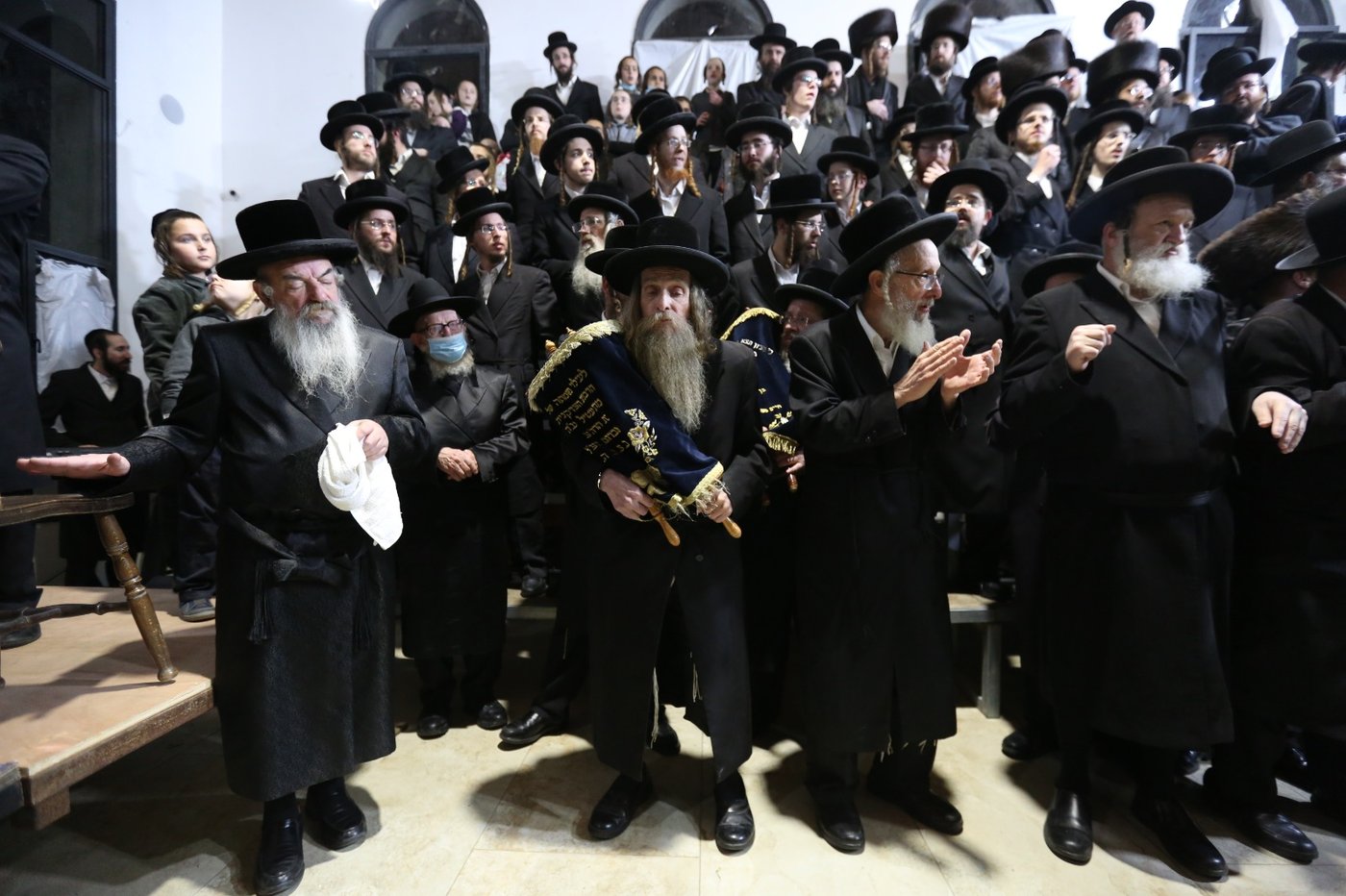 צפת: ה'לעלובערס' חגגו הכנסת ספר תורה