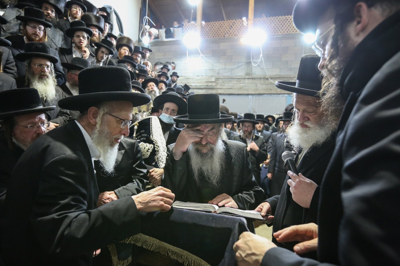 צפת: ה'לעלובערס' חגגו הכנסת ספר תורה
