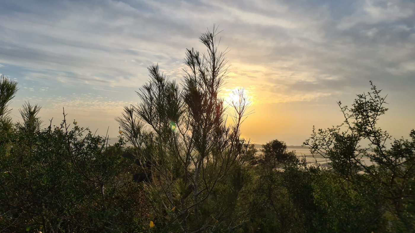 תיעוד עוצר נשימה: השקיעה בהרי הכרמל