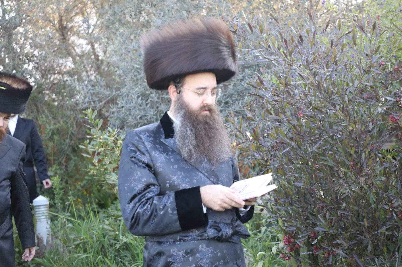 מראות חג הפסח בסאדיגורה ירושלים • תיעוד