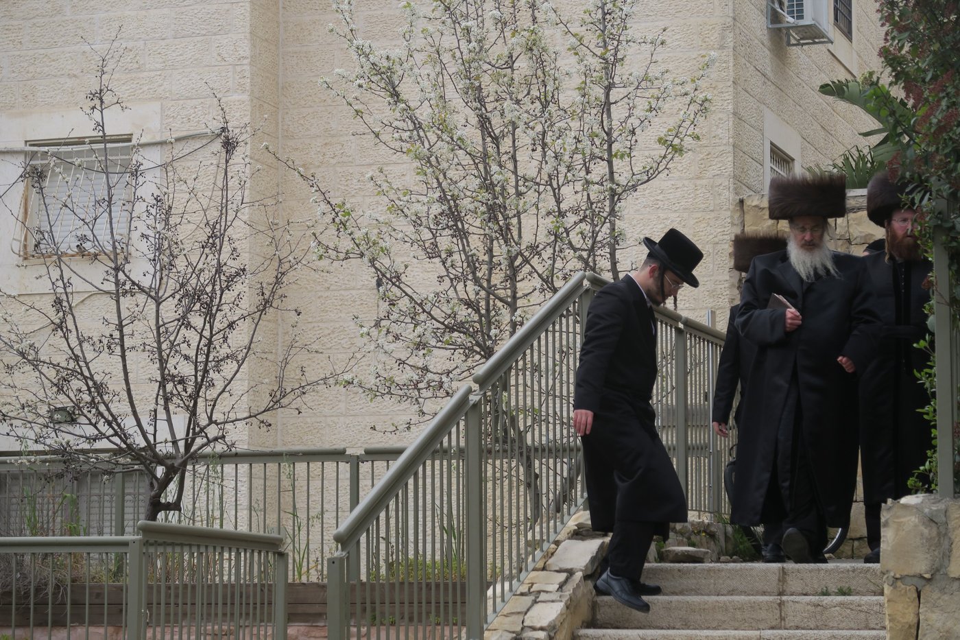בביתר עילית: הרבי מהארנסטייפל בברכת האילנות
