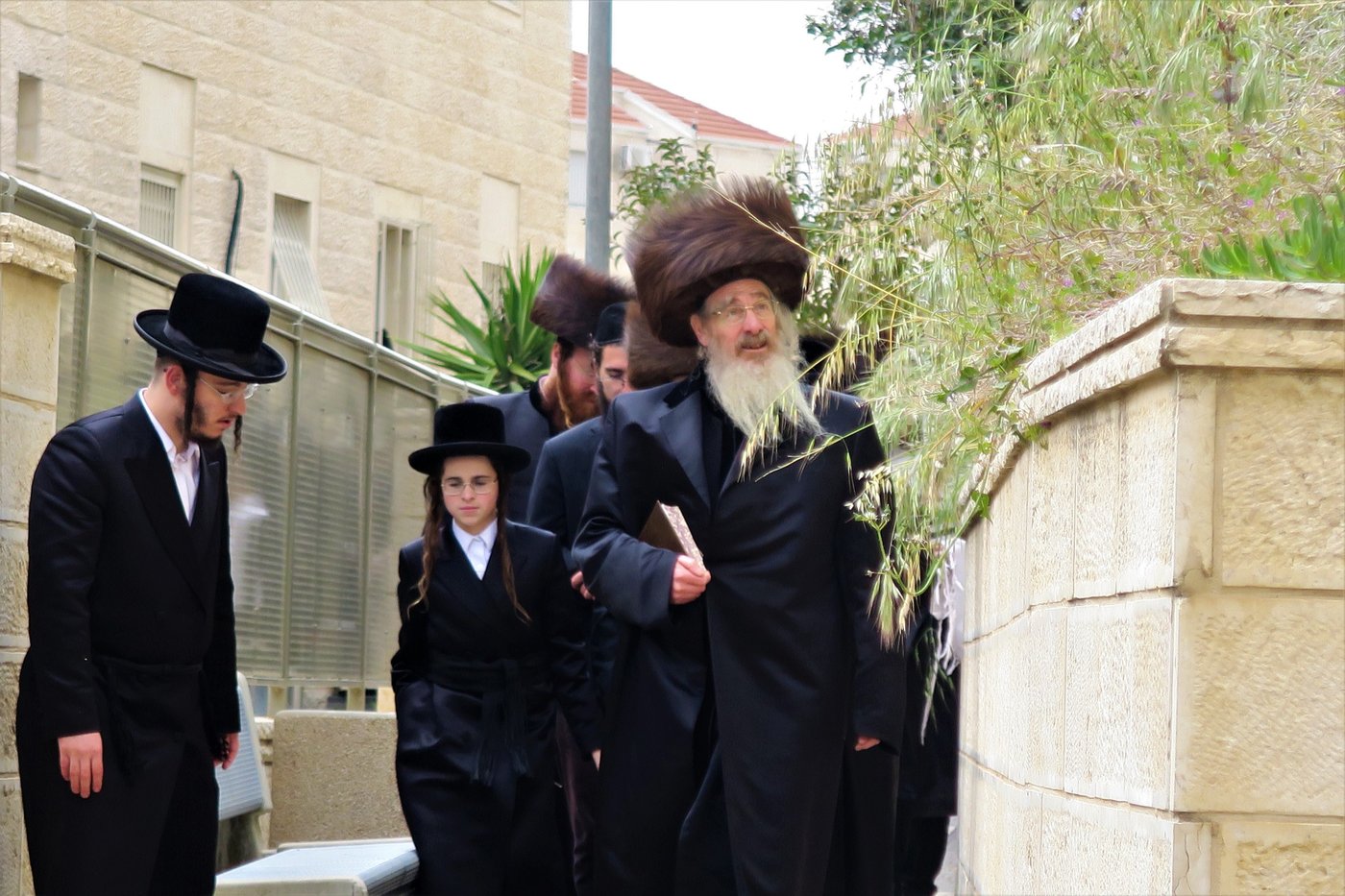בביתר עילית: הרבי מהארנסטייפל בברכת האילנות