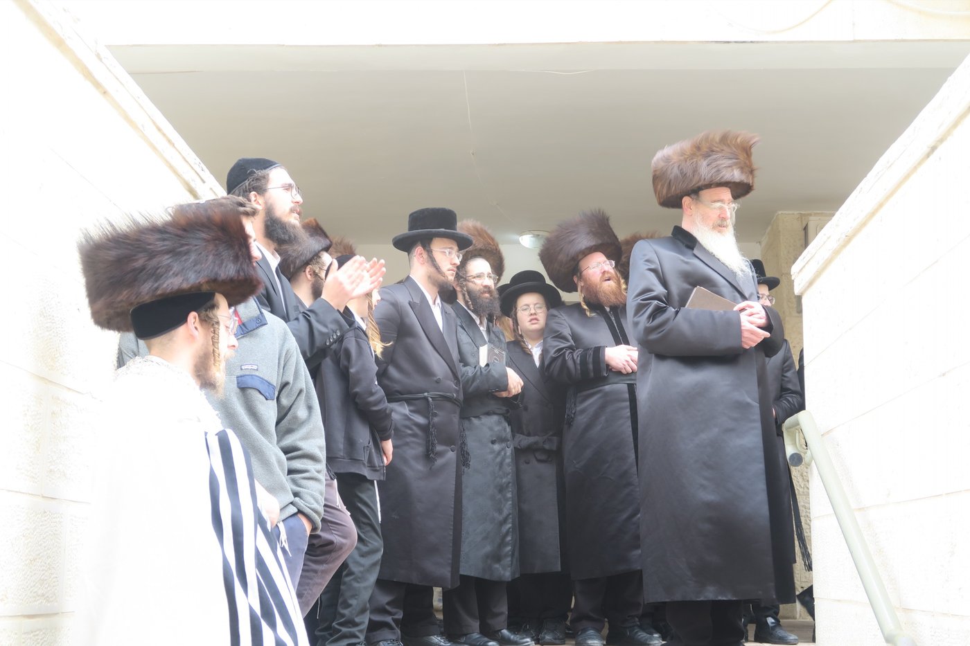 בביתר עילית: הרבי מהארנסטייפל בברכת האילנות