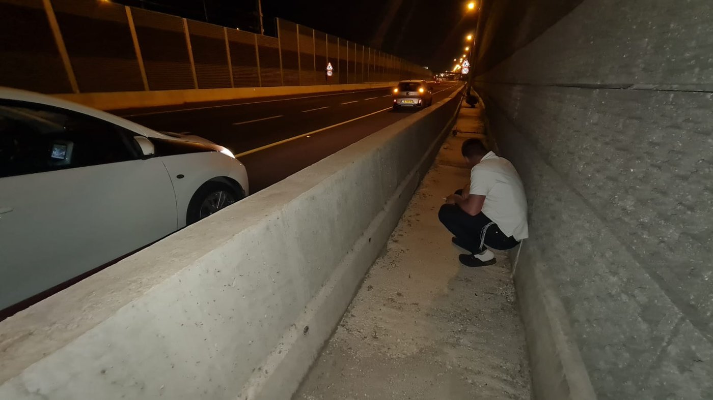 זופניק בכיכר • כל התמונות והנייעס של השבוע