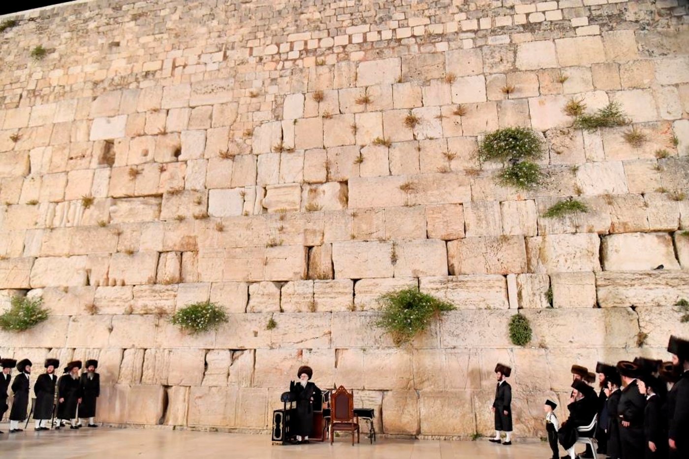 האדמו"ר מויז'ניץ בתפילה ברחבת הכותל המערבי