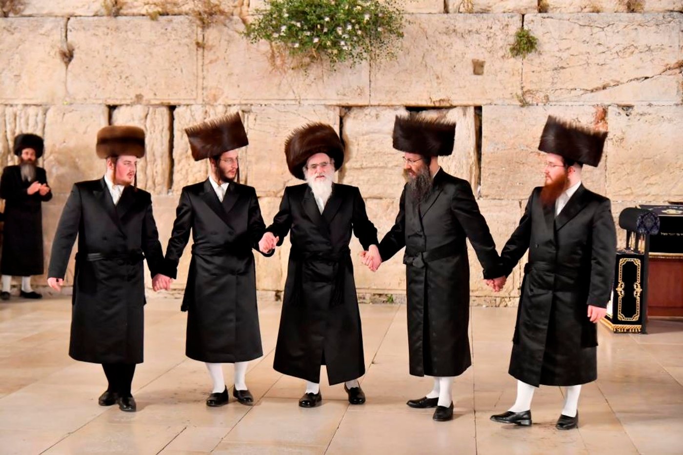 האדמו"ר מויז'ניץ בתפילה ברחבת הכותל המערבי