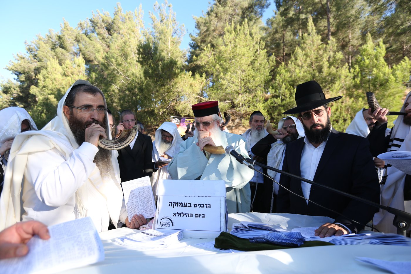 לאחר שההילולא בוטלה: תיקון שופרות ביער הסמוך