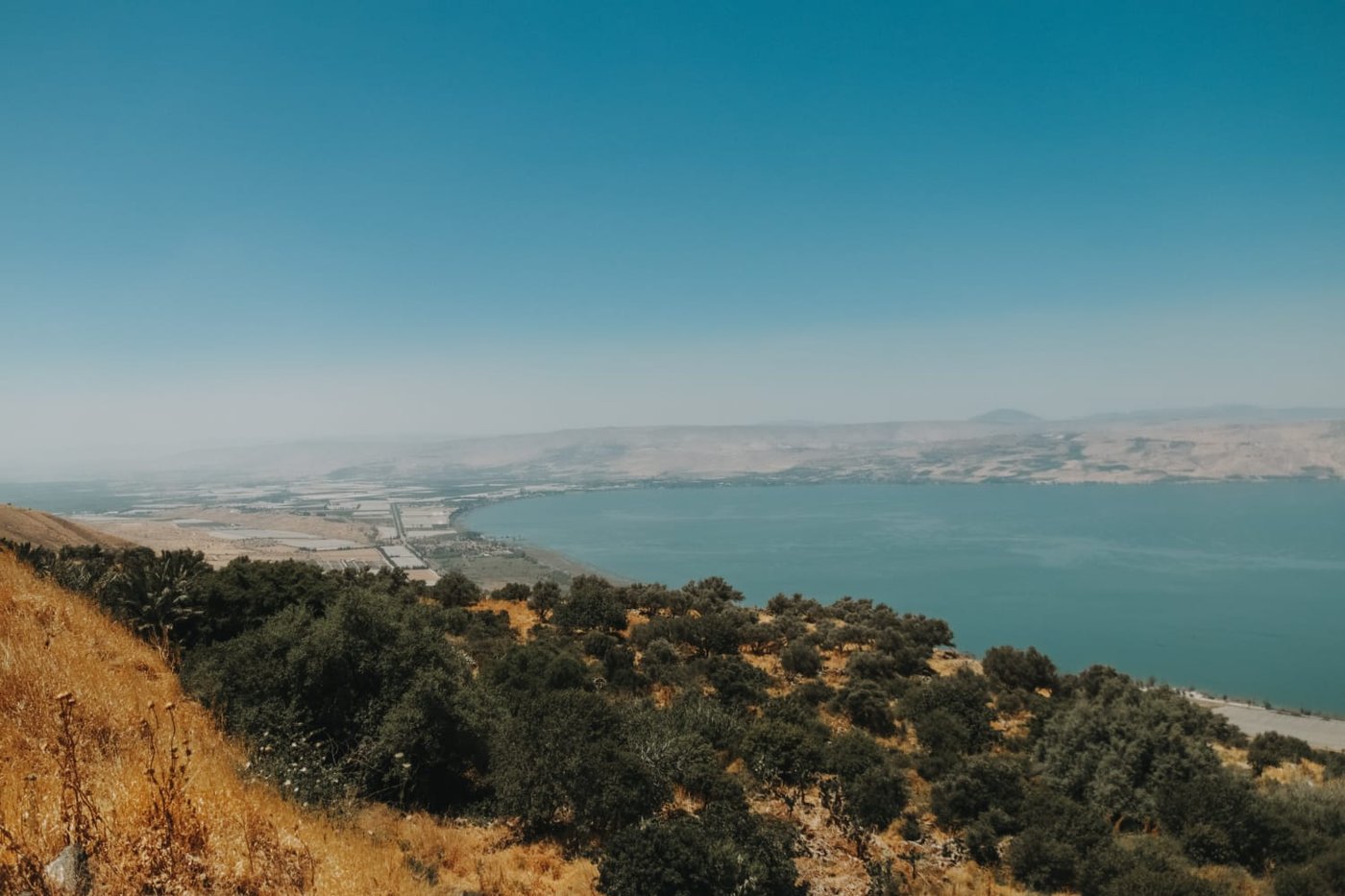 תיעוד: הזרימות המדהימות בנחלי הצפון