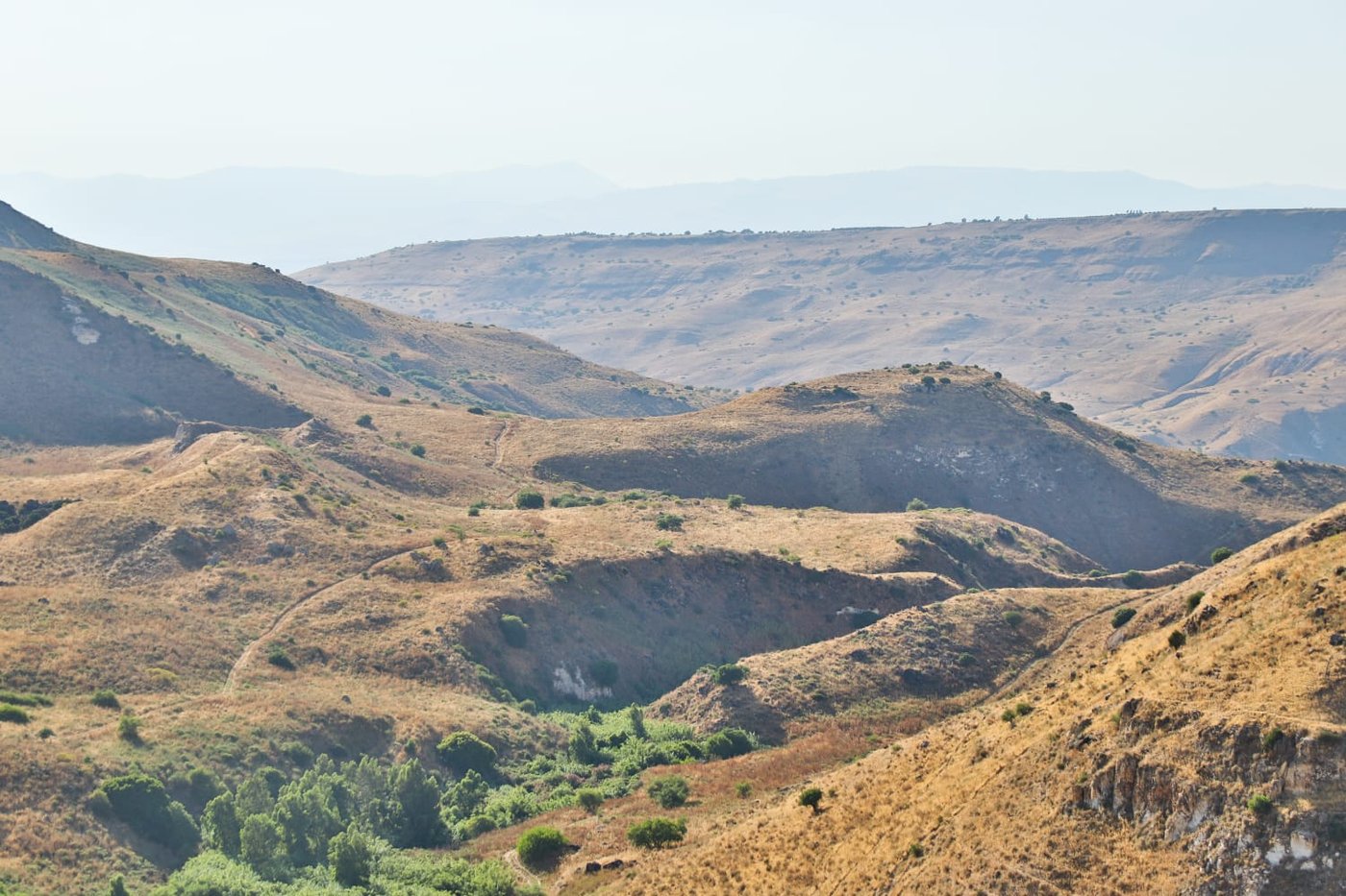 תיעוד: הזרימות המדהימות בנחלי הצפון