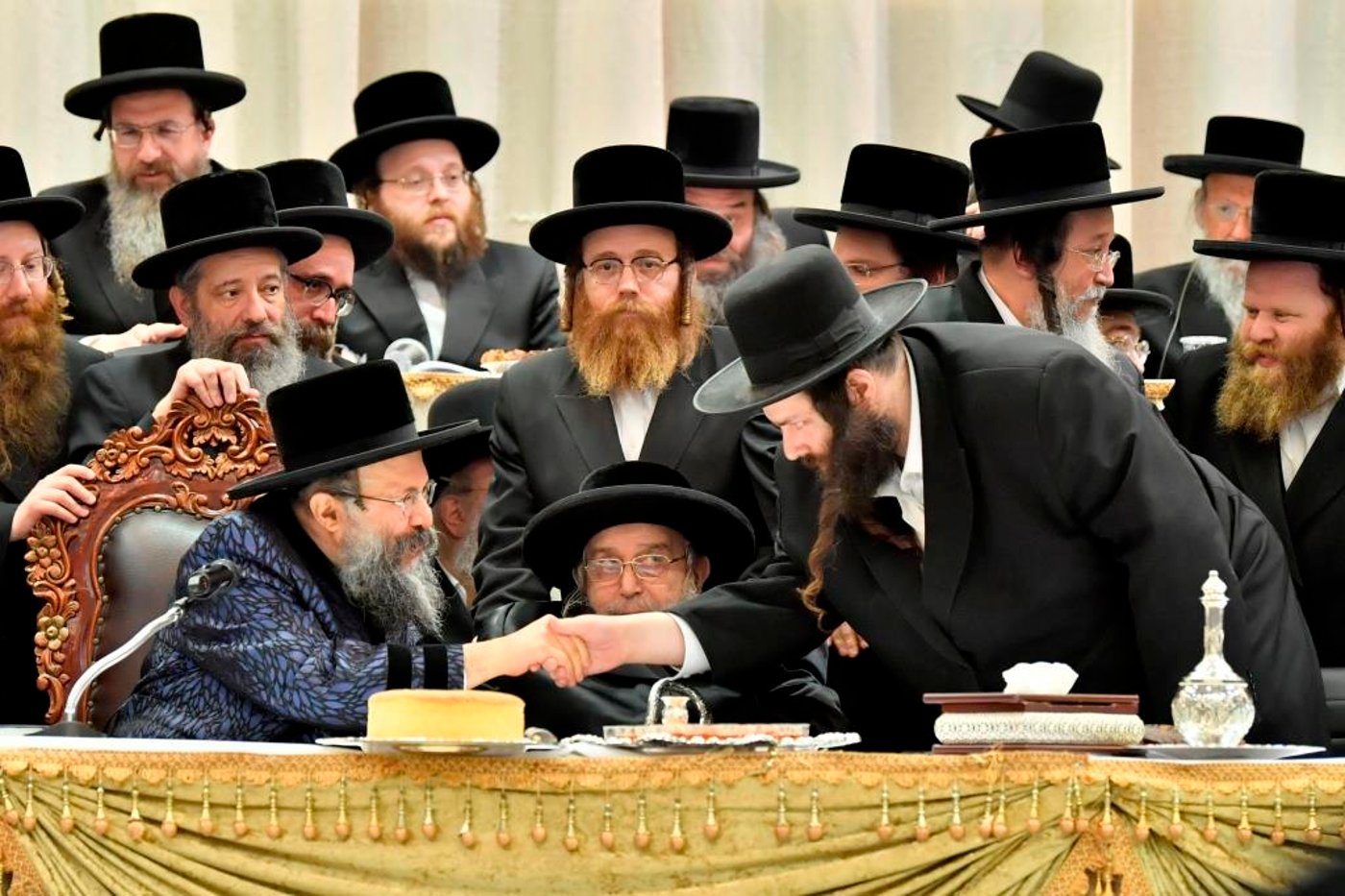 המונים קיבלו את פני הרבי מבאבוב 45