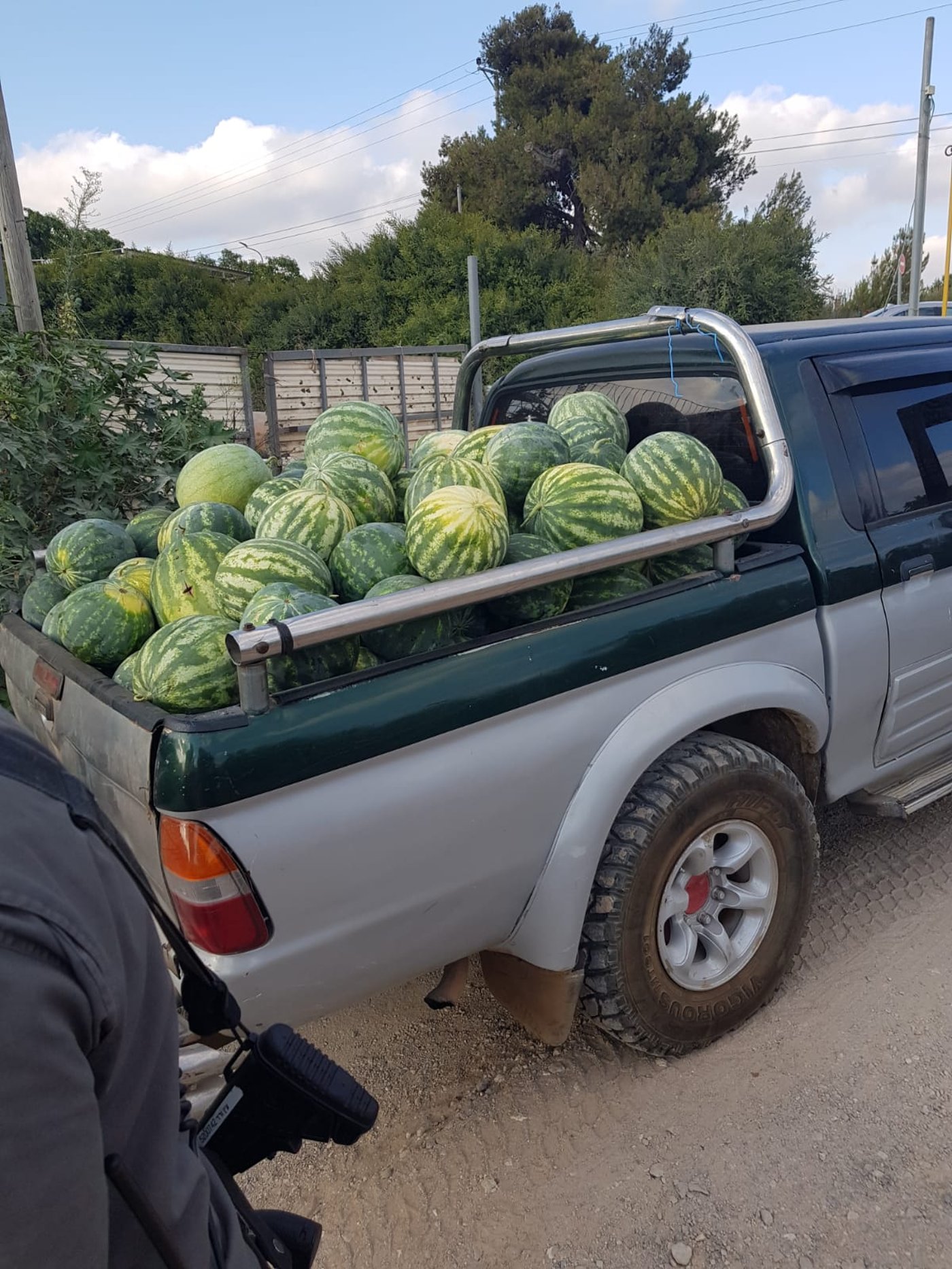 מג"ב עצרו שני ערבים שגנבו 163 אבטיחים