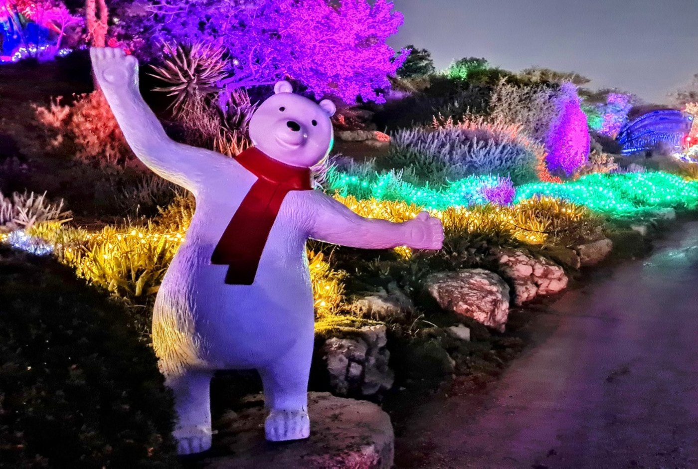 ממלכת השלג בגן הבוטני בירושלים