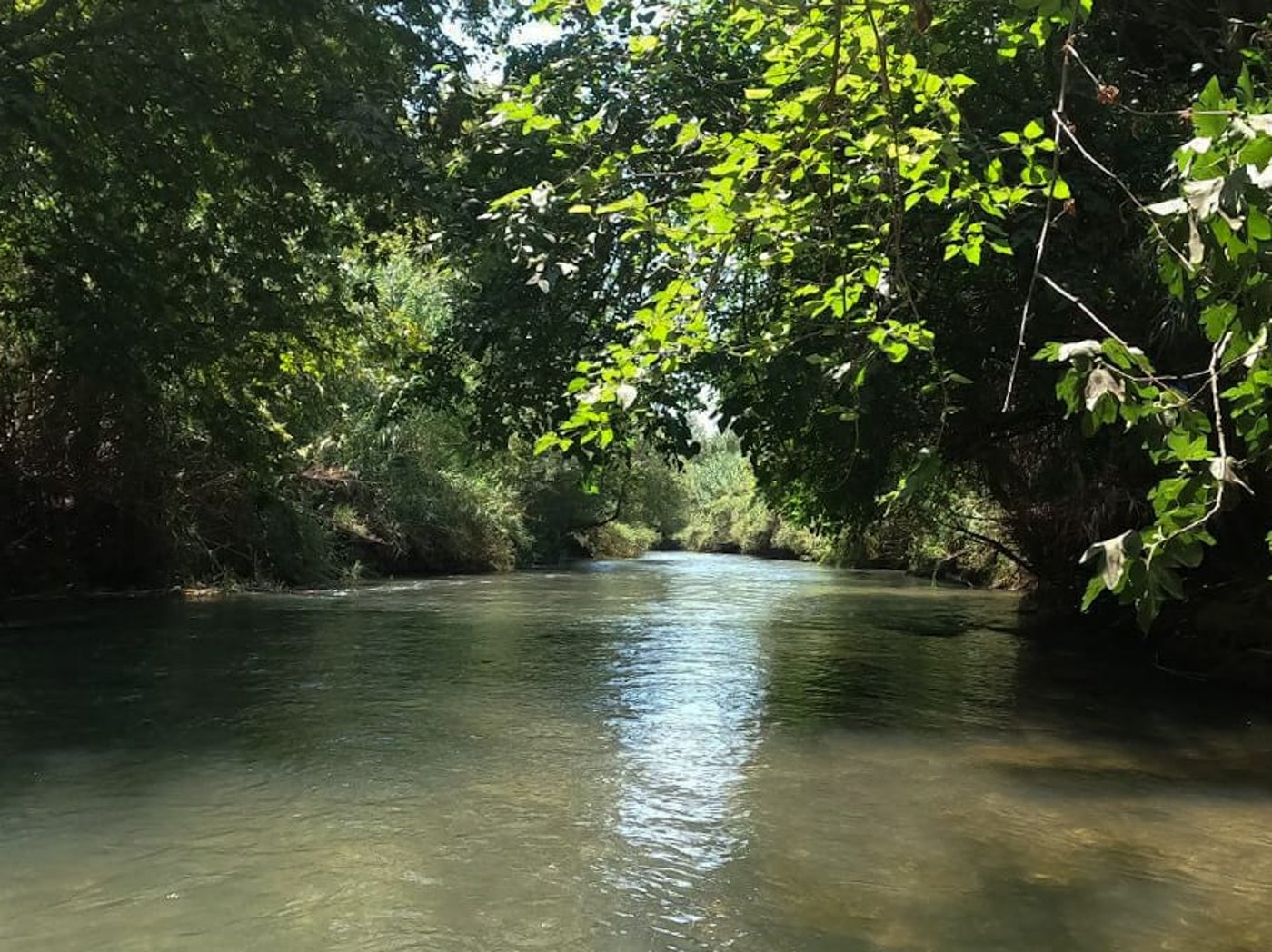 מרענן: הנחל שמתחיל בלבנון ונגמר בישראל