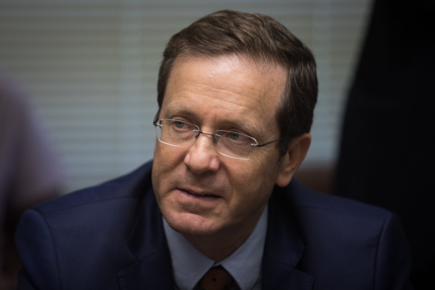 הנשיא יצחק הרצוג