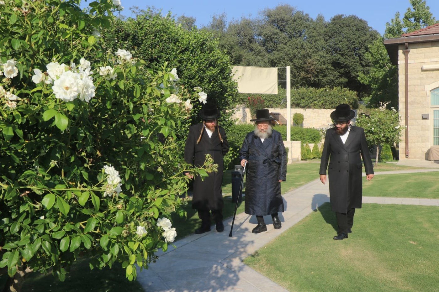 בבית הנגיד: האדמו"ר בנאות דשא • צפו