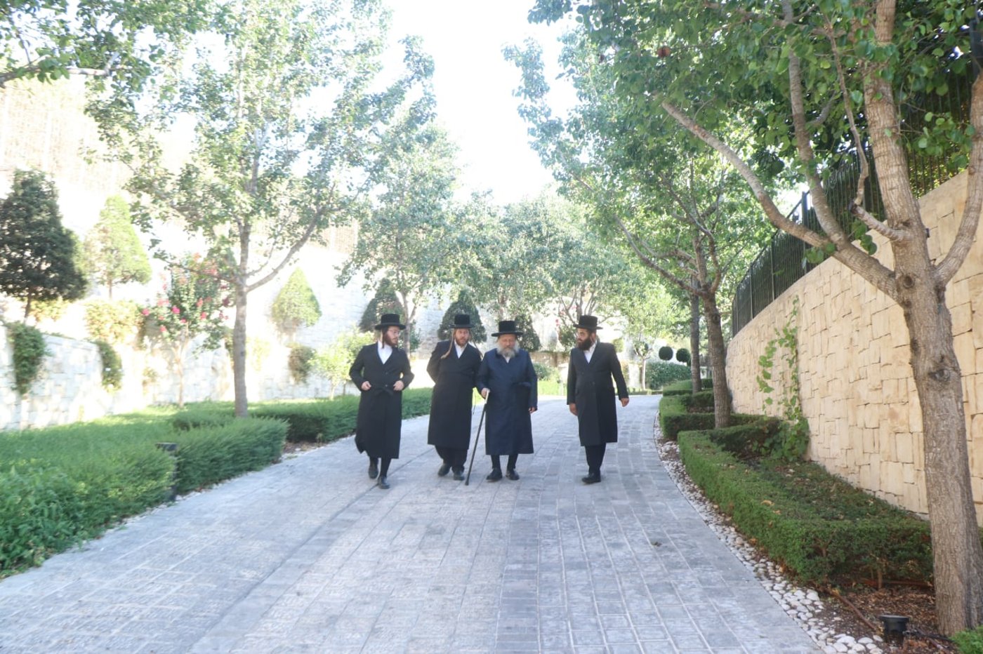 בבית הנגיד: האדמו"ר בנאות דשא • צפו