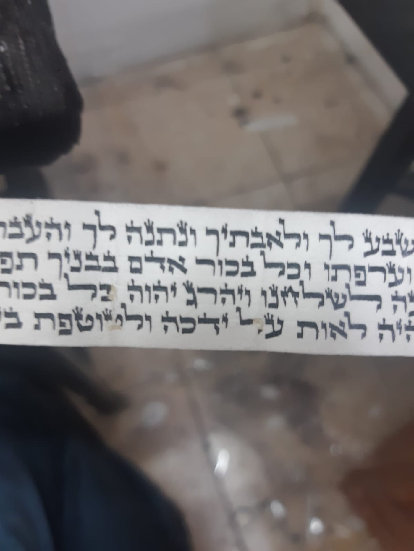 תוצאות בדיקת התפילין