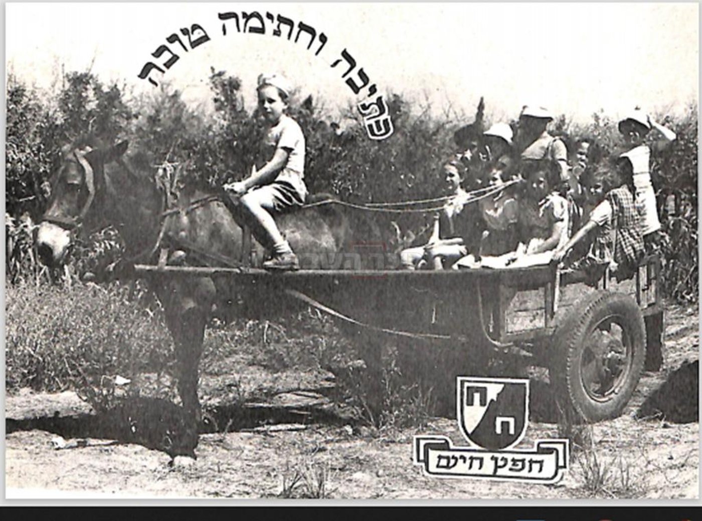 גלוית שנה טובה של ילדי קיבוץ 'חפץ חיים'