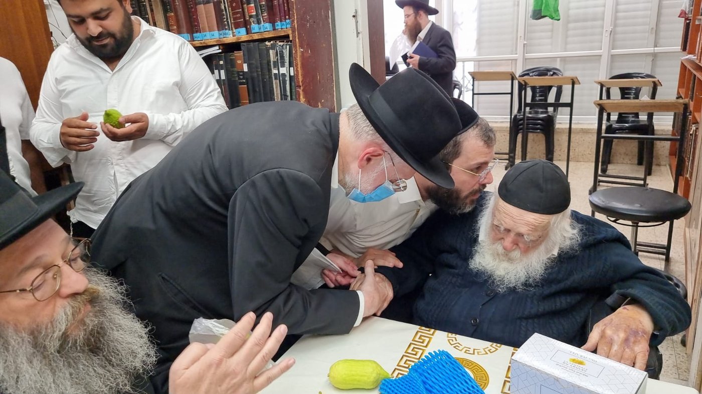"אשיינע אתרוגים"; האתרוגים המהודרים שראה ר' חיים