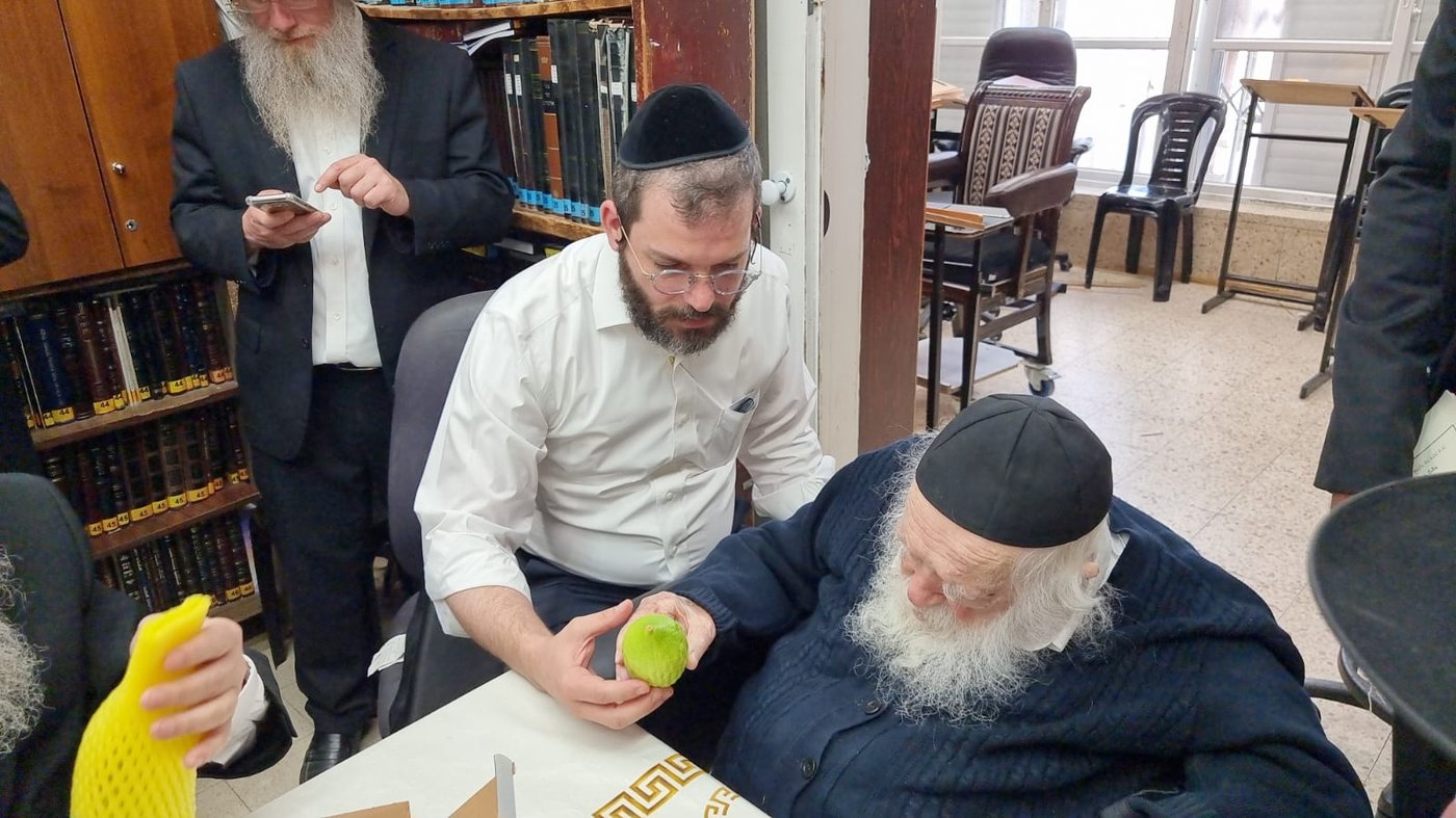 "אשיינע אתרוגים"; האתרוגים המהודרים שראה ר' חיים