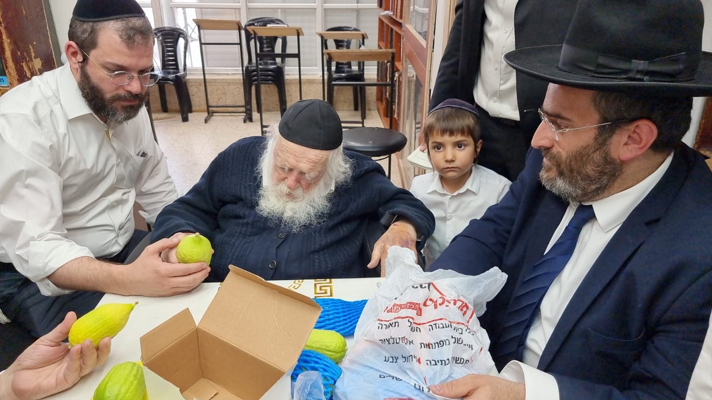 "אשיינע אתרוגים"; האתרוגים המהודרים שראה ר' חיים