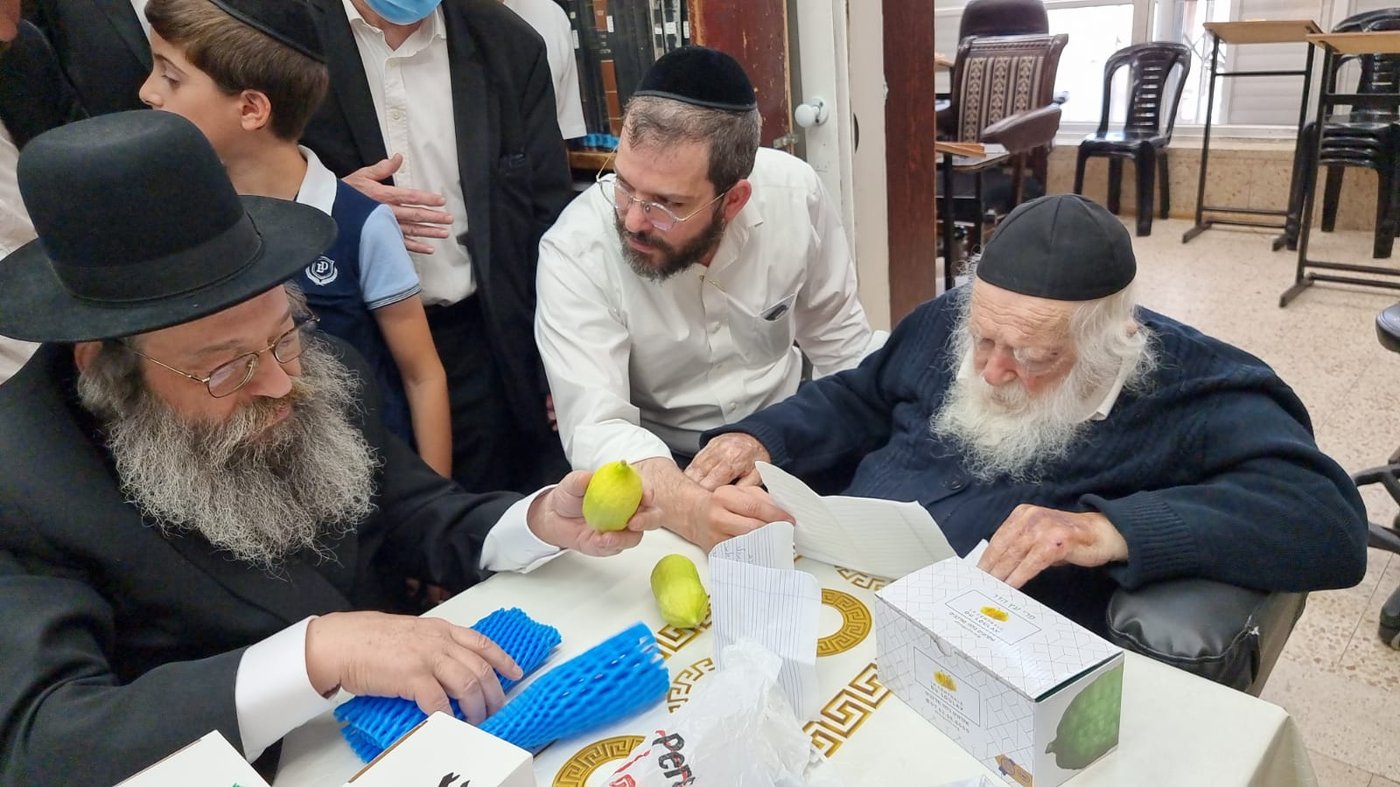 "אשיינע אתרוגים"; האתרוגים המהודרים שראה ר' חיים