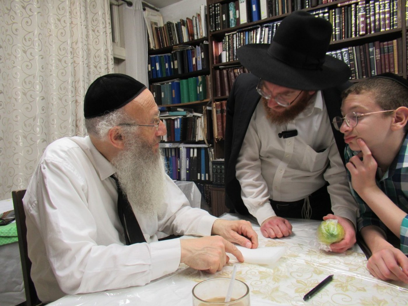 הפוסק הבני-ברקי בבדיקת ארבעת המינים • תיעוד