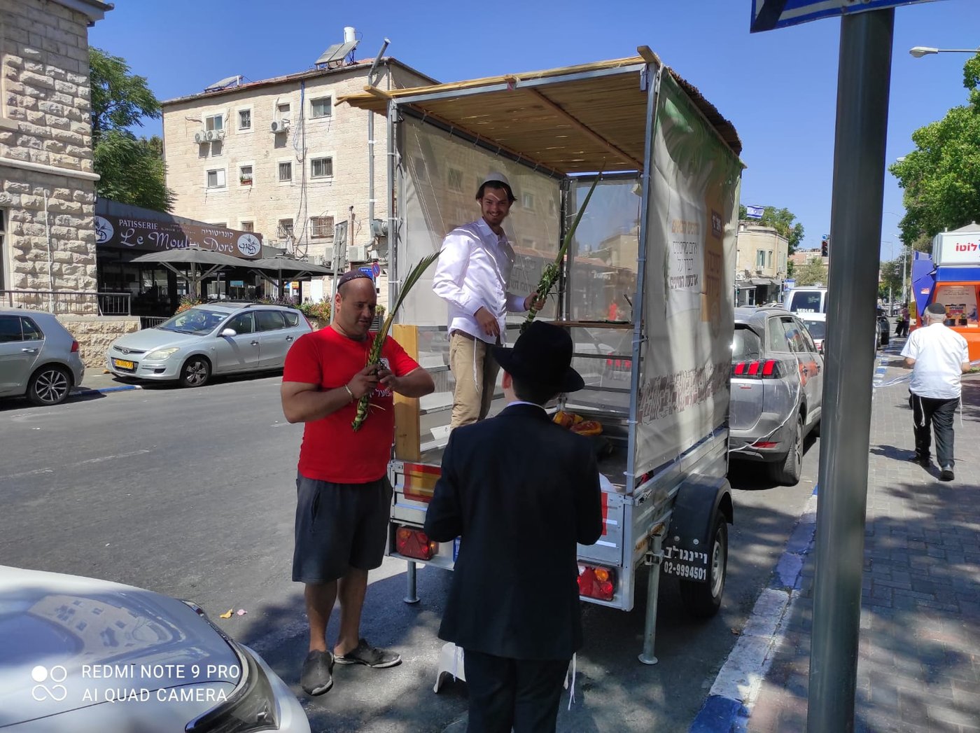 כל הארץ לולב: תיעוד מרגש מהנענועים של עמך בית ישראל