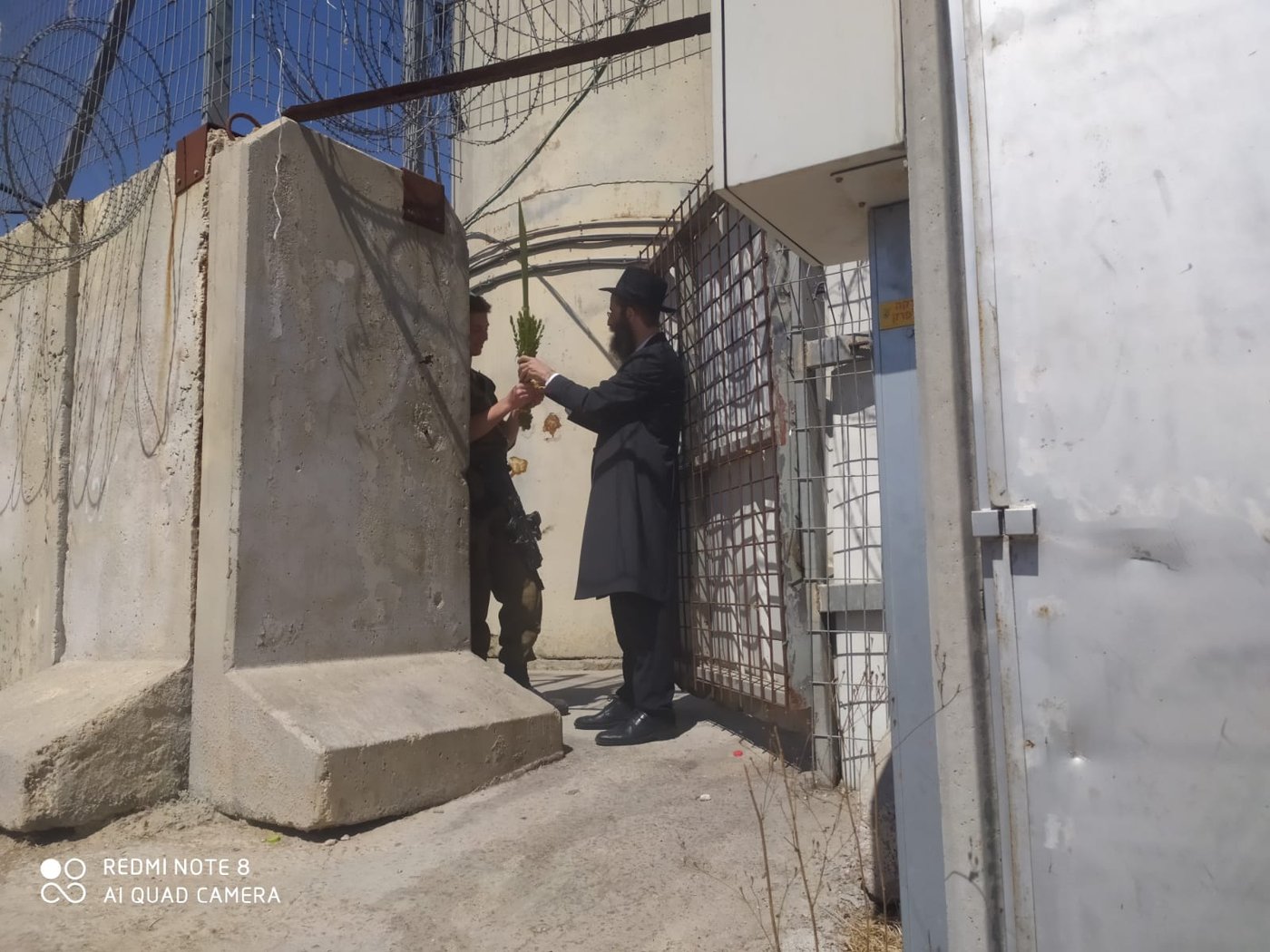 כל הארץ לולב: תיעוד מרגש מהנענועים של עמך בית ישראל