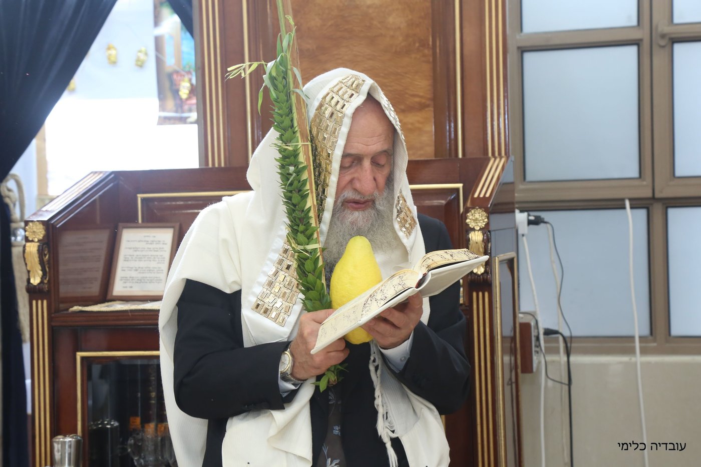 תיעוד מיוחד: הגר"ר אלבז בנטילת ד' המינים
